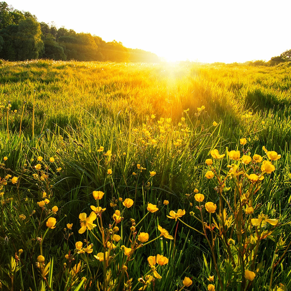 Lente skincare en huidverzorging