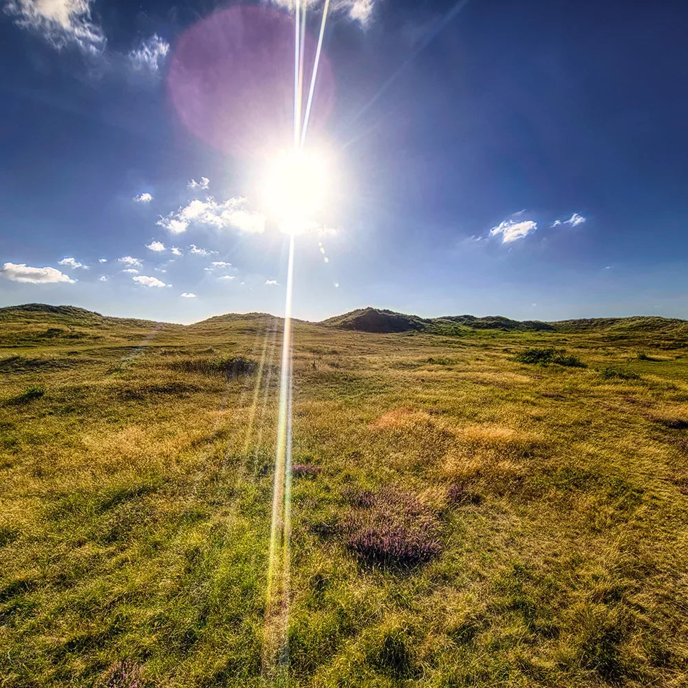 Zonnige duinenlandschap met heide - Cryon Schoonheidssalon
